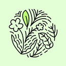 APK Florals - Wallpapers