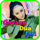 Dj Goyang 2 Jari icono