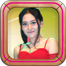 Lagu Vita Alvia Full Album APK
