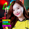 Lagu dj paling viral offline