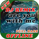 Lagu Are You With Me Remix DJ Desa Offline-APK