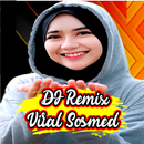 Dj Takkan siakan dia Hal hebat APK