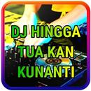 DJ Hingga Tua Kan Kunanti Ipank Remix Offline APK