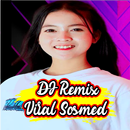 Dj Mega remix jedag jedug APK