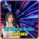 Dj Topeng Cintaku Remix APK