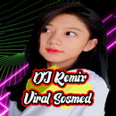 Dj Merasa indah - Tiara andini APK