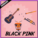 Kumpulan Lagu Black Pink Mp3 APK
