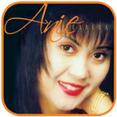 Anie Carera Lagu Kenangan Mp3 APK