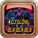 Lagu Dj Bla Bla Bla Offline APK