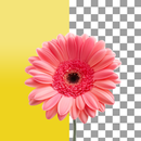 Background Remover - Bg Eraser APK