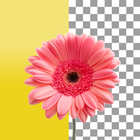 Background Remover - Bg Eraser icono