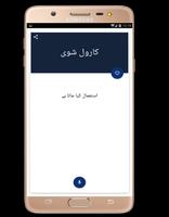 Pashto to Urdu dictionary offline capture d'écran 1