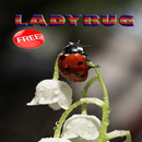 Ladybug Ideas APK