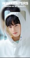 Cha Eun Woo Wallpaper HD الملصق