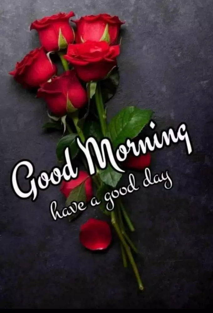 Image Good Morning And Good Night For Android Apk Download