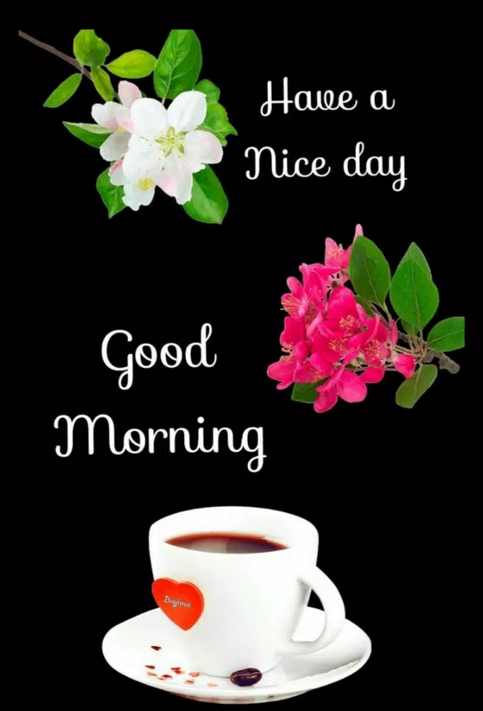 Image Good Morning And Good Night For Android Apk Download
