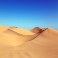 Desert Wallpapers