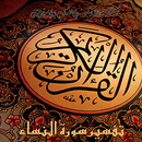 محمد النابلسي سلسلة تفسير سورة النساء بدون نت APK