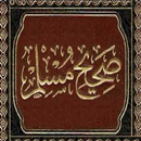 شرح صحيح مسلم كتاب البيوع بدون نت APK