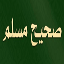 محمد العثيمين شرح صحيح مسلم منوع بدون نت APK