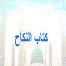 شرح صحيح مسلم كتاب النكاح والرضاع والطلاق بدون نت-APK
