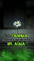 Imagenes de Duelo imagem de tela 2