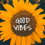 Sonnenblumen-Hintergründe