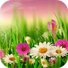 آیکون‌ spring wallpaper