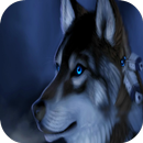 loups fonds d'écran APK