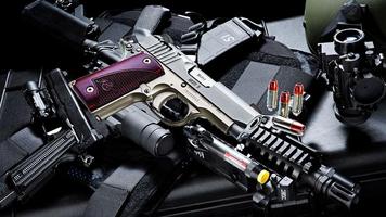 برنامه‌نما gun wallpaper عکس از صفحه