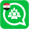 APK قروبات واتساب مصرية
