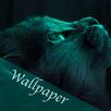 Wallpaper of cats APK