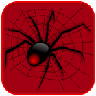 Spider Solitaire иконка