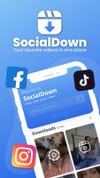 SocialDown screenshot 2