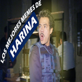 Stickers Policia de Harina Par