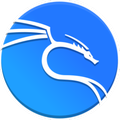 kali linux