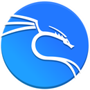 kali linux APK