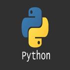 learn python3 ícone