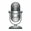 Voice Recorder