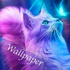 Sets of Cats Wallpaper icône