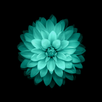 Galaxy Flowers Live Wallpaper APK