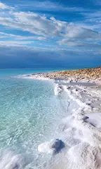 download Seascape Live Wallpaper APK