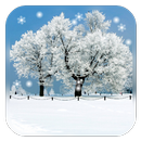 APK Snow Season Live Wallpaper