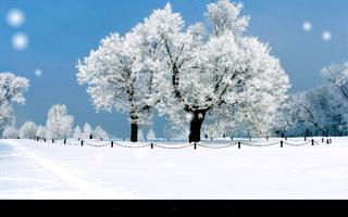 Snow Season screenshot 2
