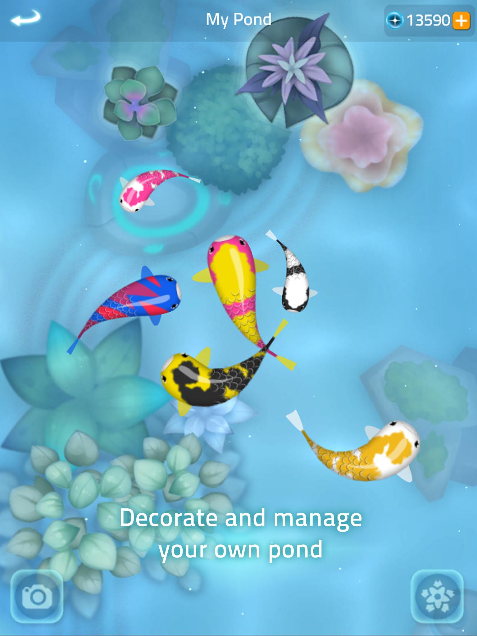 Zen Koi 2 for Android - APK Download