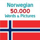 Norwegian 50000 Words&Pictures APK