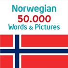 Norwegian 50000 Words&Pictures icône