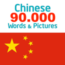 Chinese 90000 words & pictures APK
