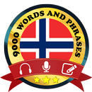 Learn Norwegian APK