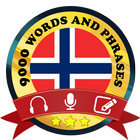 Learn Norwegian icono